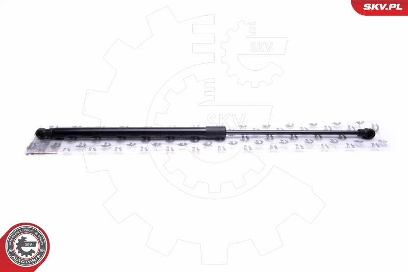 Gas Spring, boot/cargo area